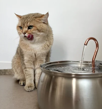 Kattefontene™ – Beskytt katten mot uttørking